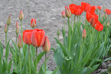 Similar image 626626