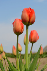 Similar image 626627