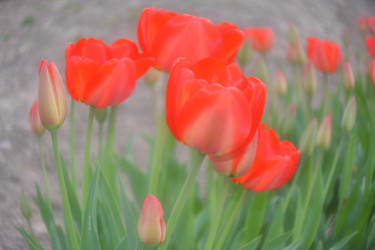 Similar image 626630