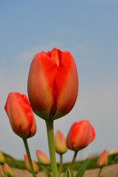 Similar image 626632