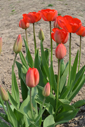 Similar image 626633