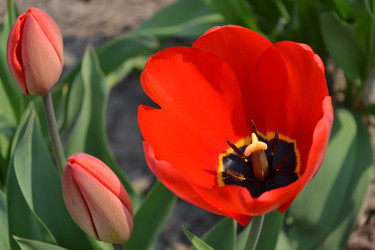 Similar image 626636