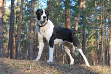 Similar image 626656