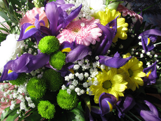 Similar image 626685