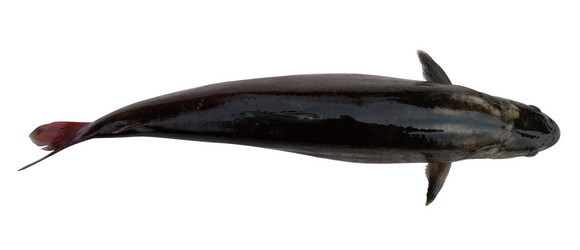 Similar image 626695