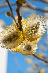 Similar image 626734