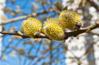 Similar image 626737