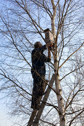 Similar image 626740