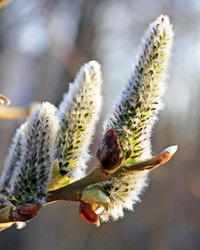 Similar image 626802