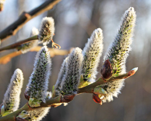 Similar image 626806