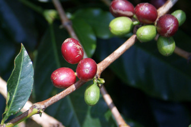 Similar image 626809