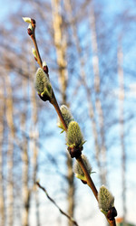 Similar image 626810