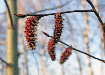 Similar image 626811