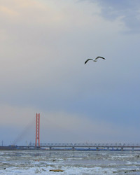 Similar image 626872