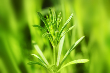 Similar image 626886