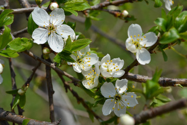 Similar image 626960