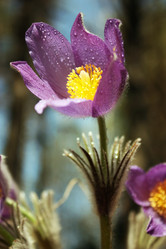 Similar image 626973