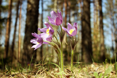 Similar image 626974