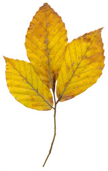 Similar image 626981