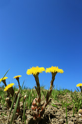 Similar image 627017