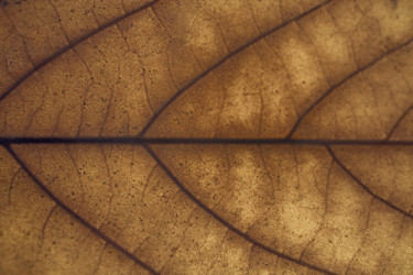 Similar image 627101