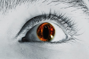 Similar image 627109