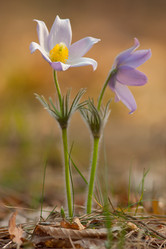 Similar image 627131