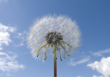 Similar image 627191