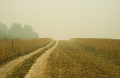 Similar image 627192