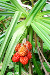 Similar image 627212