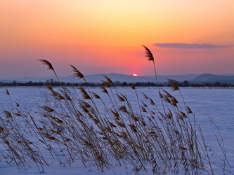 Similar image 627220