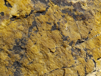 Similar image 627225