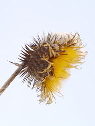 Similar image 627246