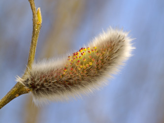 Similar image 627251