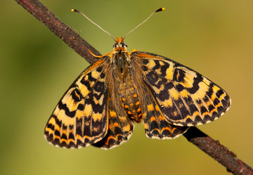 Similar image 627314