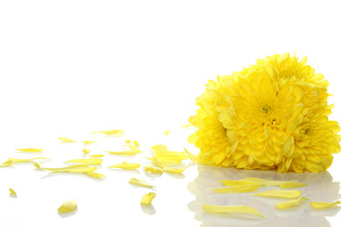 Similar image 627387