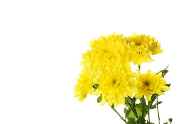 Similar image 627391