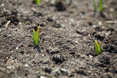 Similar image 627396