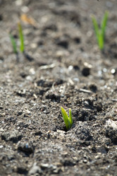 Similar image 627397