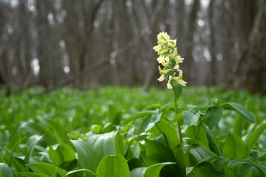 Similar image 627399