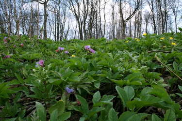 Similar image 627401