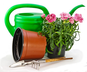 Similar image 627404