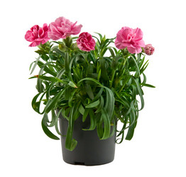 Similar image 627407