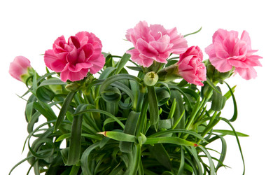 Similar image 627408