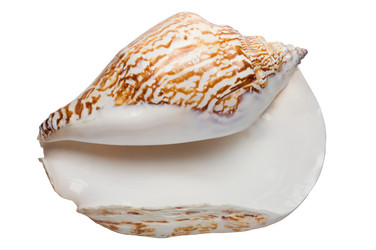 Similar image 627410