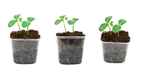 Similar image 627464