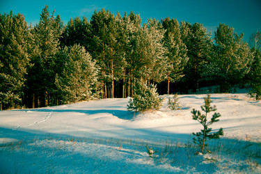 Similar image 627477