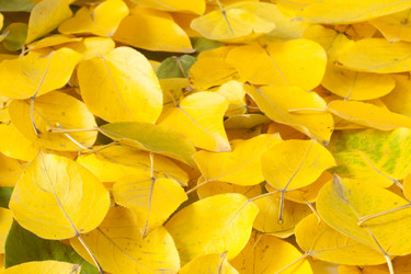 Similar image 627492