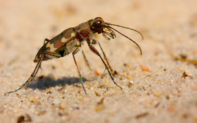 Similar image 627594