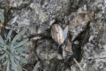 Similar image 627605